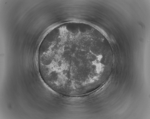 X0000112961247200909241153