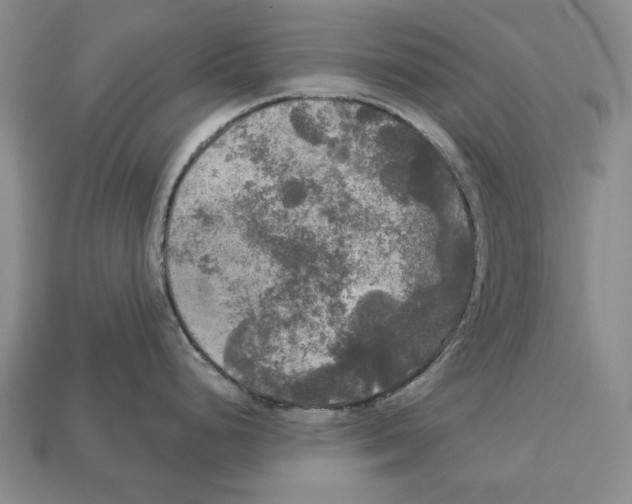 X0000112961248200909241153