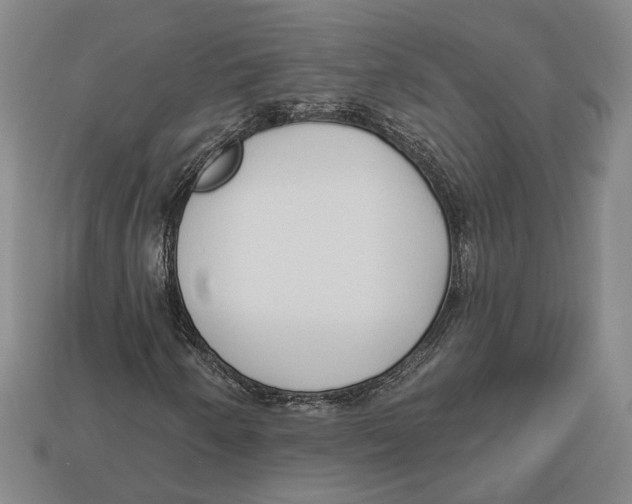 X0000112961250200909241153