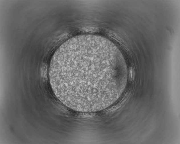 X0000112961251200909241152