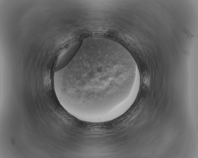 X0000112961252200909241152