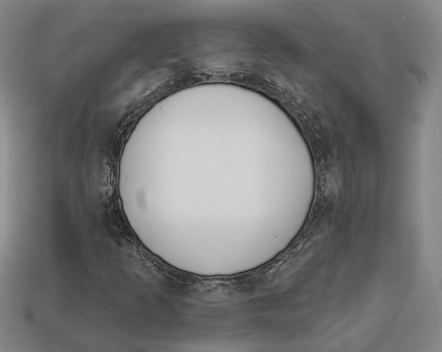 X0000112961253200909241152