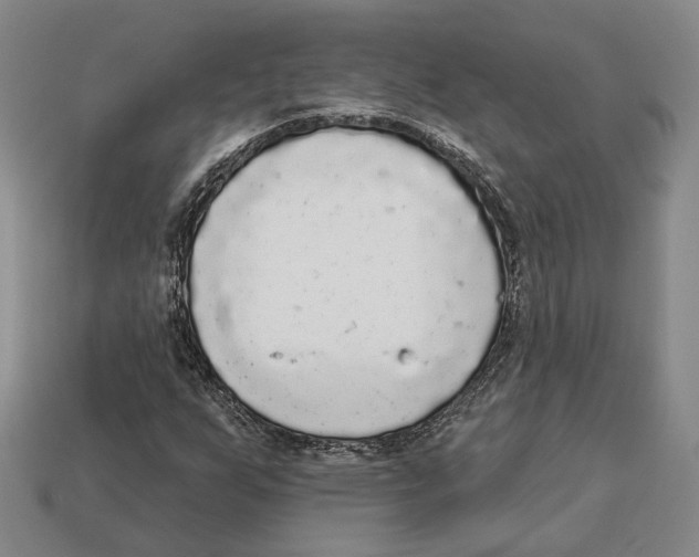 X0000112961255200909241152