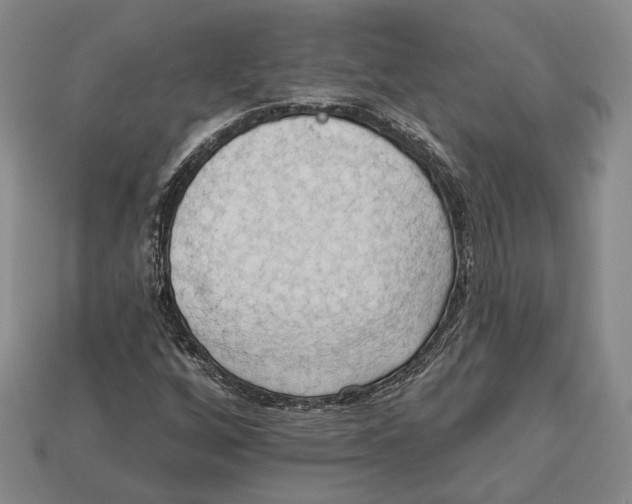 X0000112961256200909241152