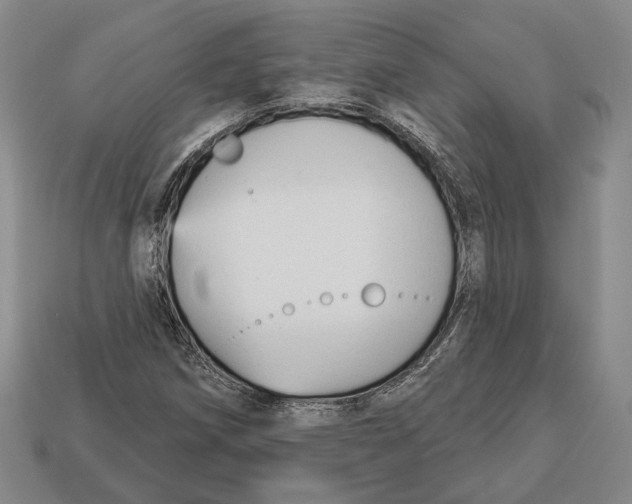 X0000112961258200909241152