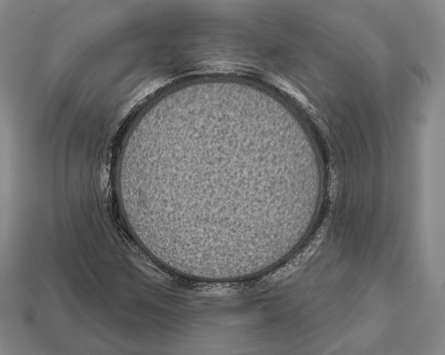 X0000112961259200909241152