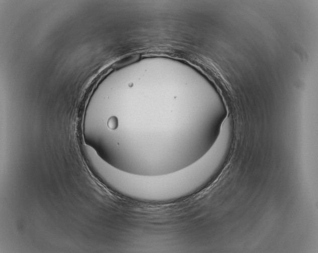 X0000112961260200909241152