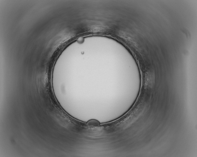 X0000112961261200909241152