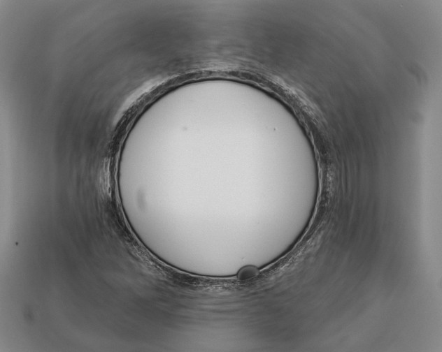 X0000112961262200909241152