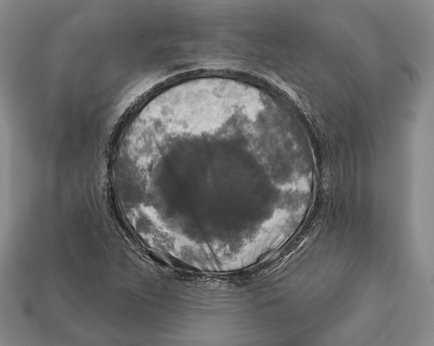 X0000112961263200909241152