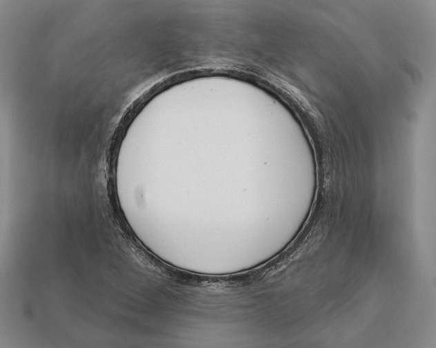 X0000112961264200909241152