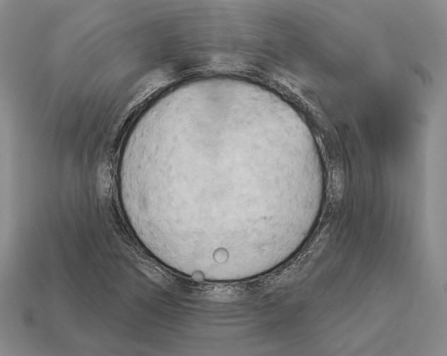 X0000112961266200909241152