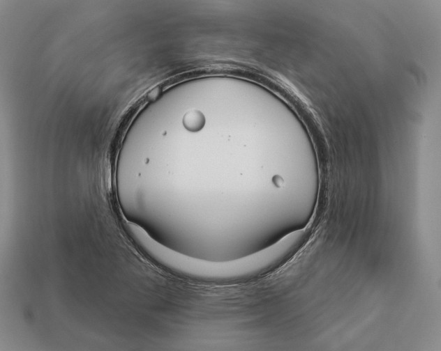 X0000112961269200909241152