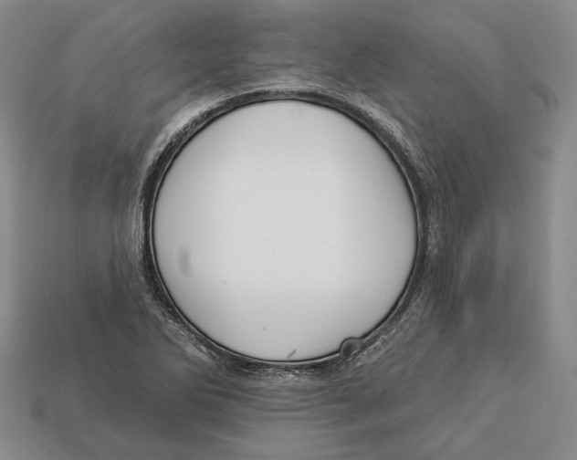 X0000112961270200909241152