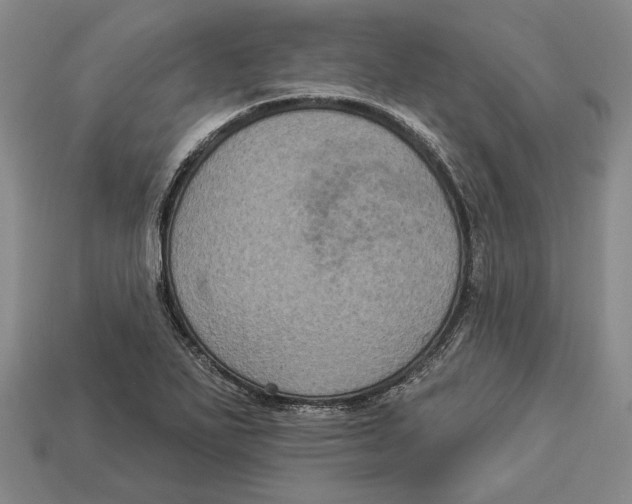 X0000112961271200909241152