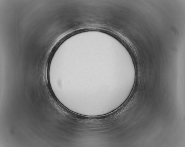 X0000112961272200909241152