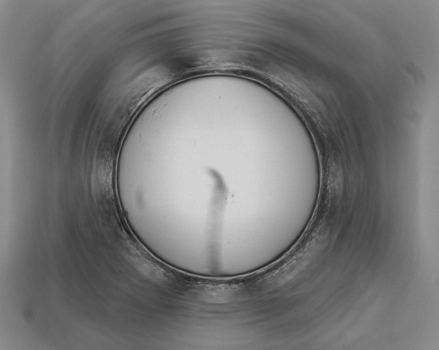 X0000112961273200909241152