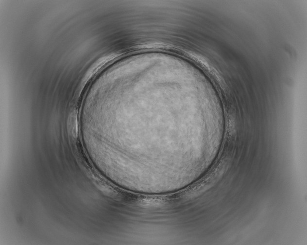 X0000112961274200909241152