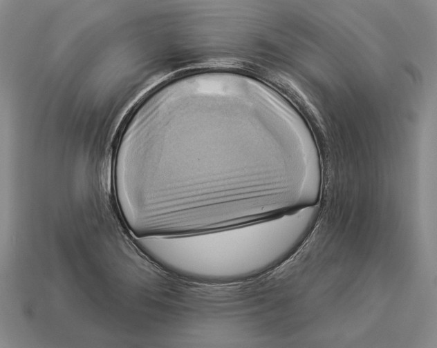 X0000112961276200909241152