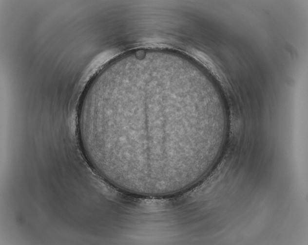 X0000112961277200909241152