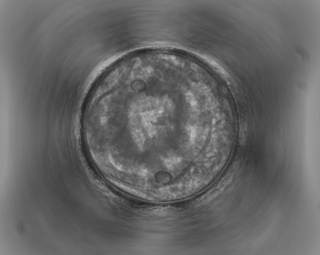 X0000112961279200909241152