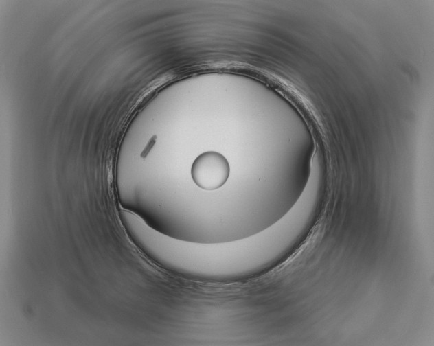 X0000112961281200909241152