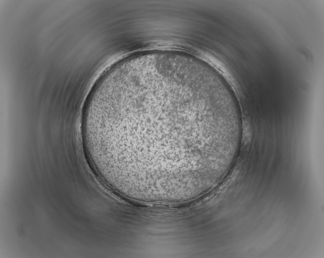 X0000112961283200909241152