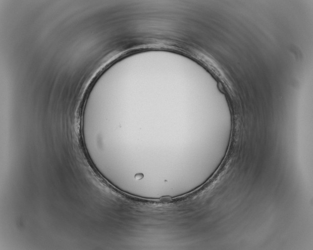 X0000112961284200909241152