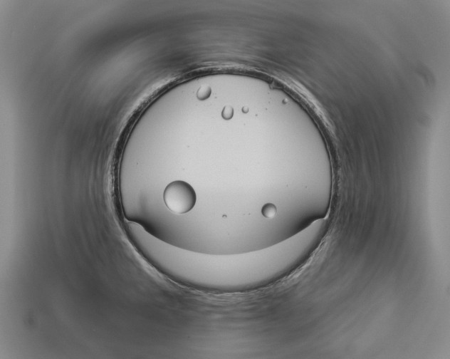 X0000112961285200909241152