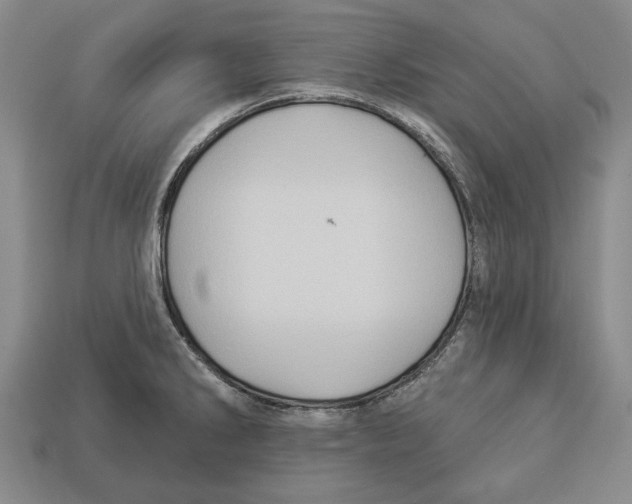 X0000112961286200909241152