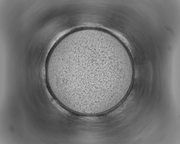 X0000112961287200909241152