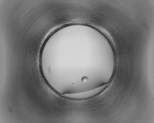 X0000112961288200909241152