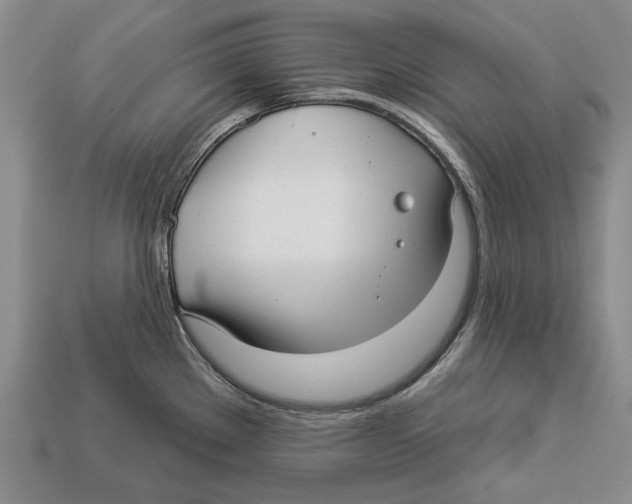 X0000112961289200909241152