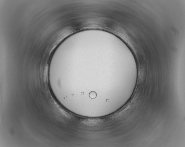 X0000112961290200909241152