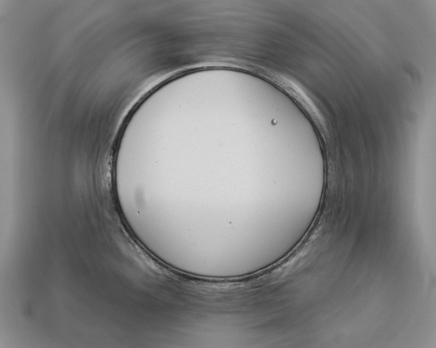 X0000112961292200909241152