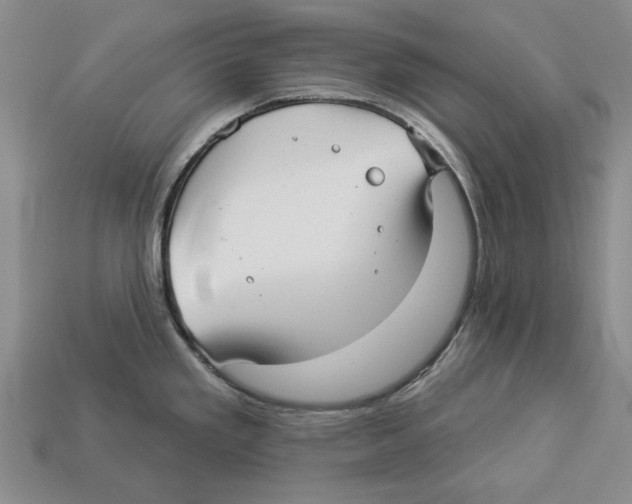 X0000112961293200909241152