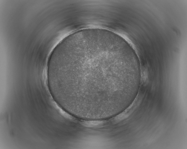 X0000112961294200909241152