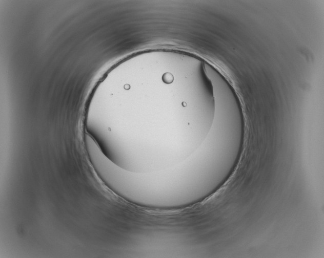 X0000112961296200909241152