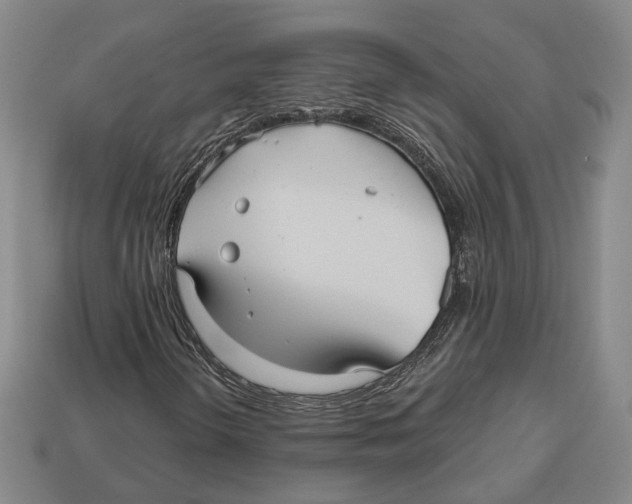 X0000112961298200909241151