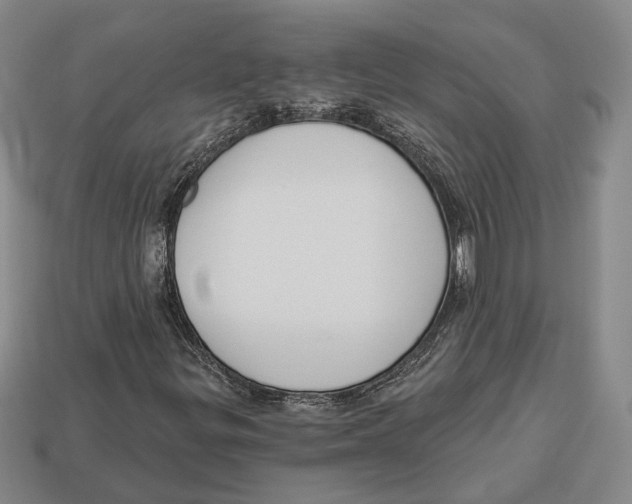 X0000112961299200909241151