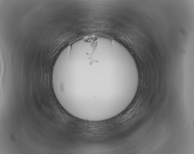 X0000112961300200909241151