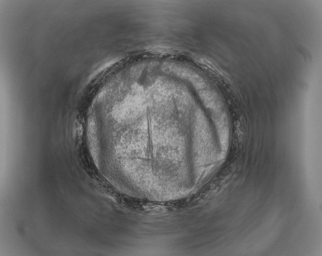 X0000112961302200909241151