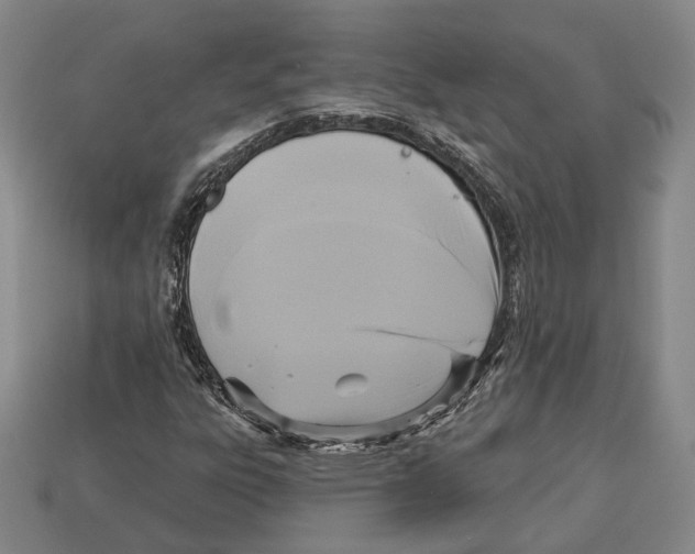 X0000112961303200909241151