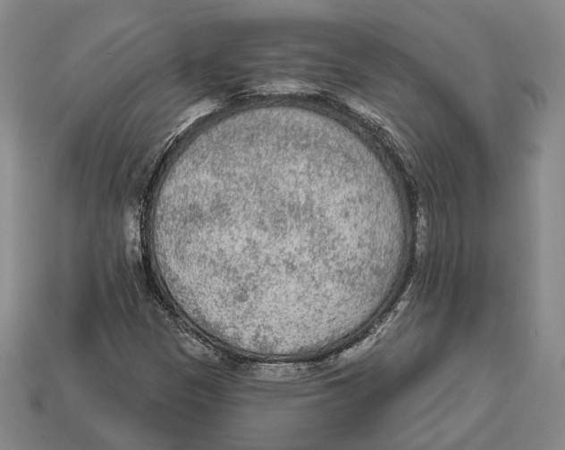 X0000112961305200909241151