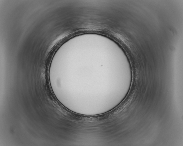 X0000112961307200909241151