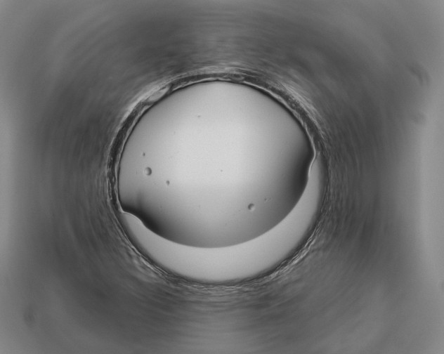 X0000112961308200909241151