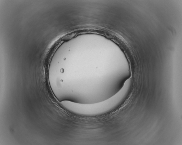 X0000112961310200909241151