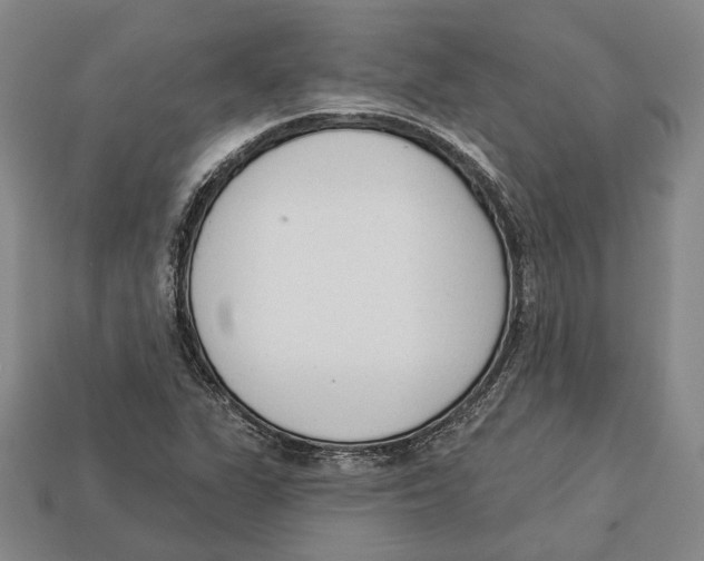 X0000112961311200909241151