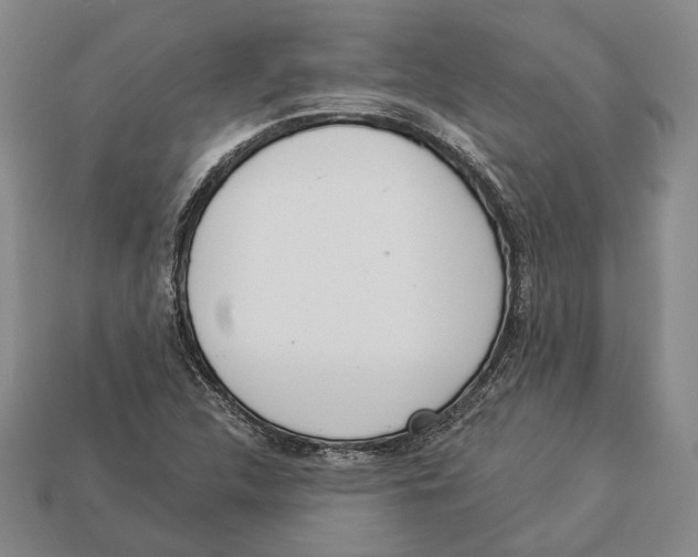 X0000112961312200909241152