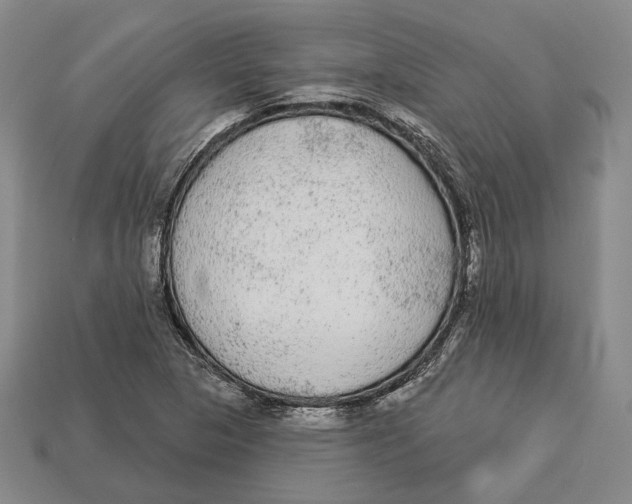 X0000112961313200909241152